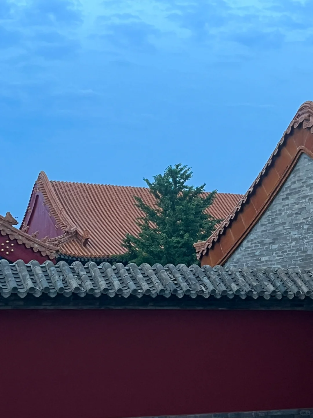 廊坊推介会/天下第一城