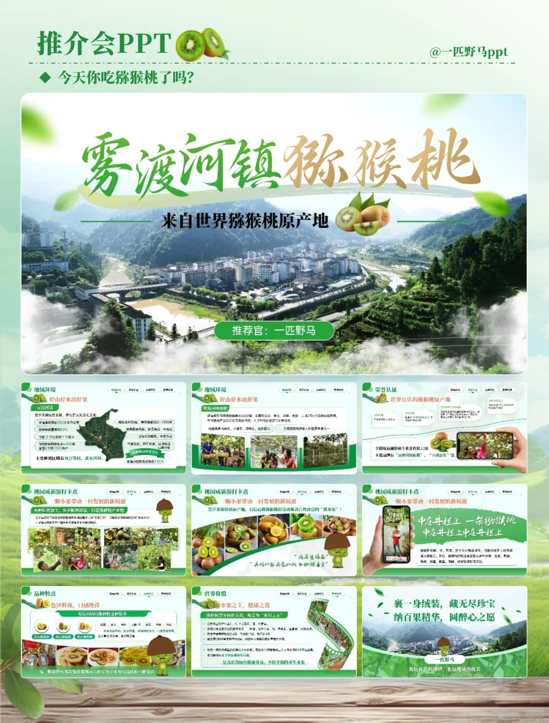 产品推介会PPT之猕猴桃?
