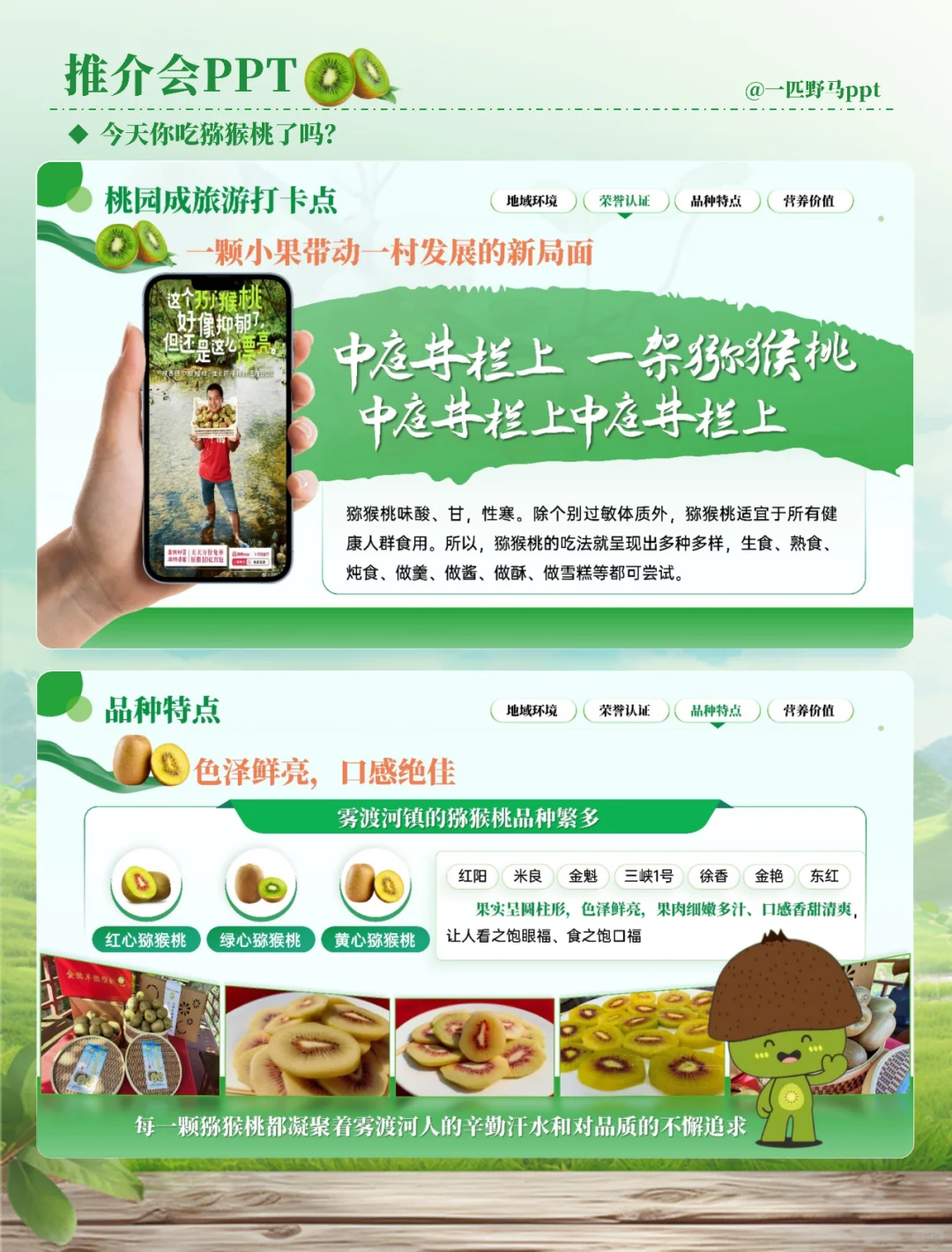 产品推介会PPT之猕猴桃?