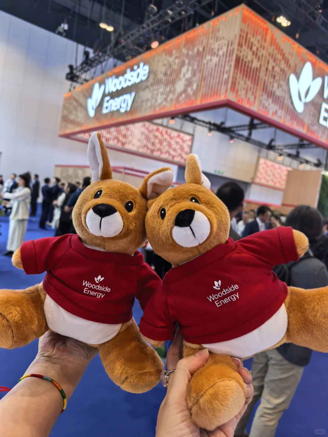 521世界燃气大会