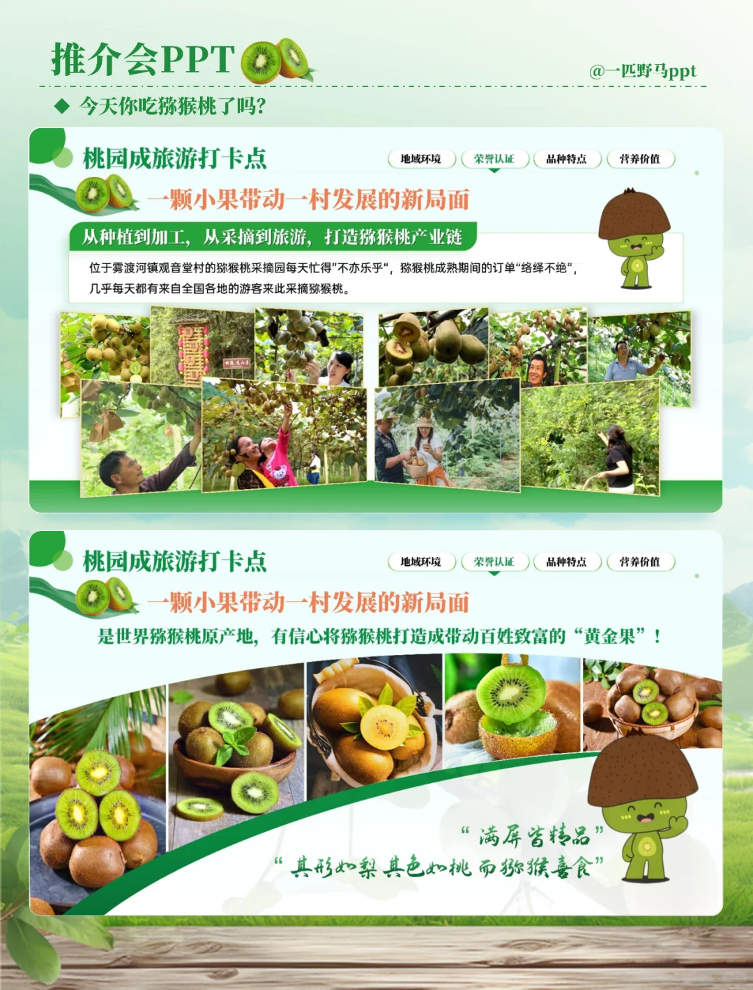 产品推介会PPT之猕猴桃?