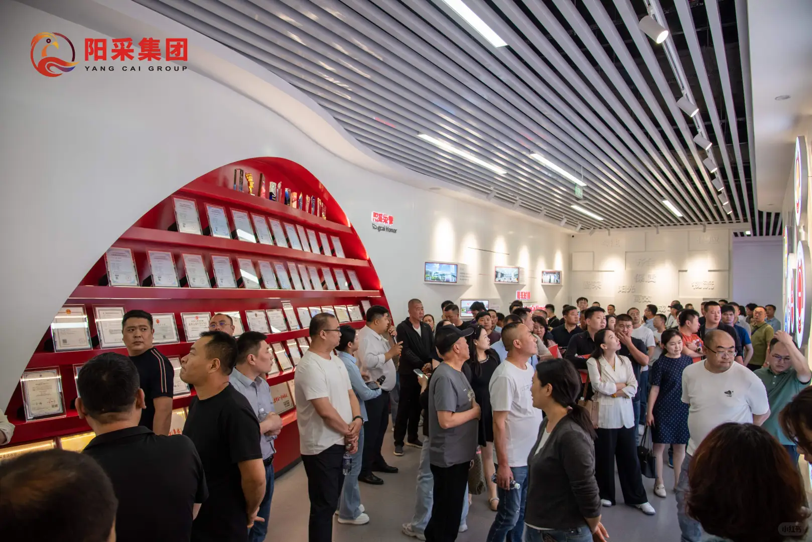 阳采集团招商会（工业品专场）现场直击