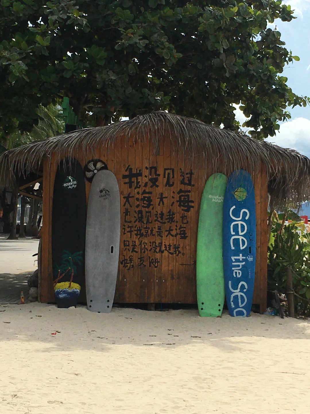 今天是海盐味滴•ᴗ•