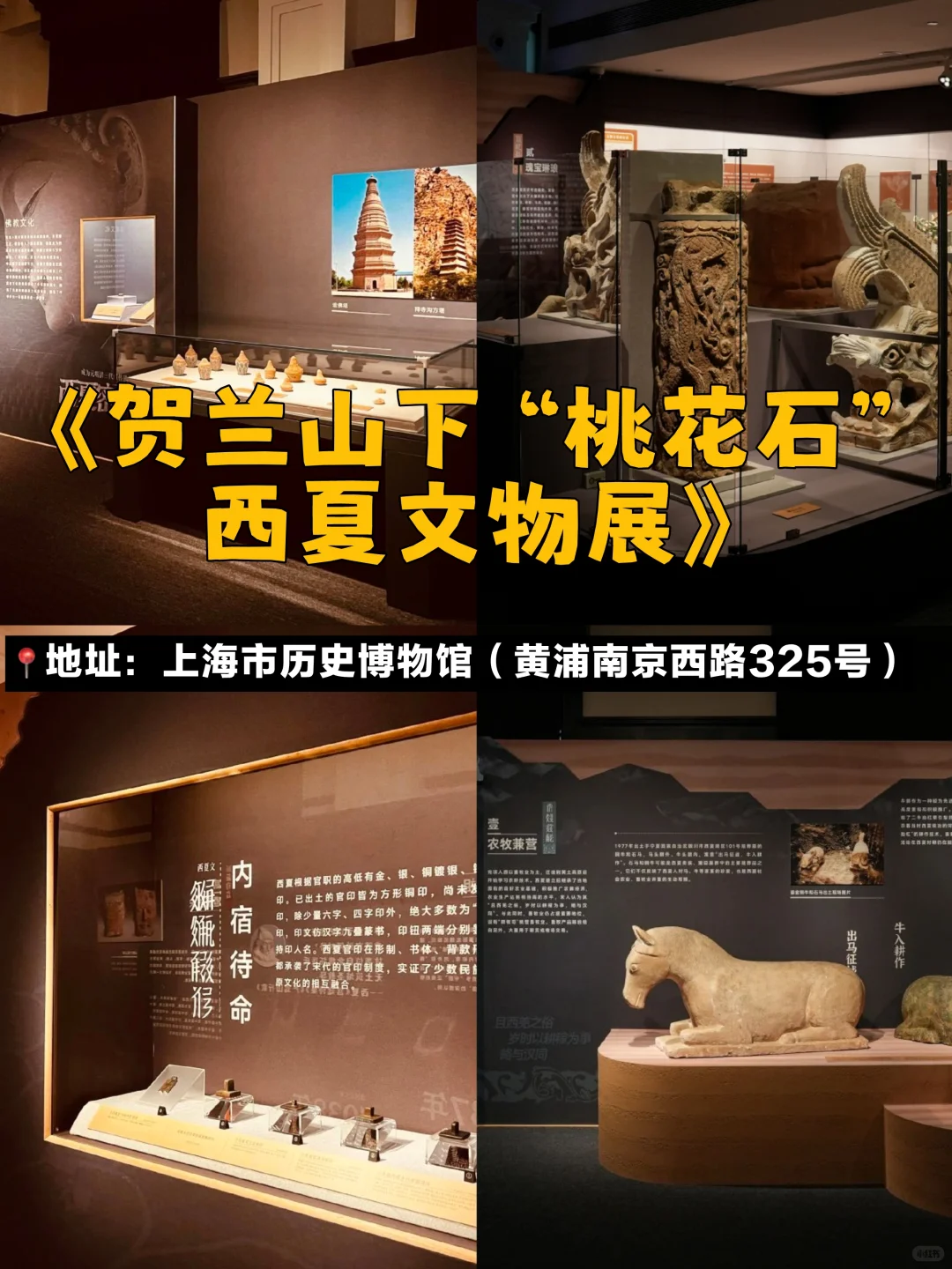上海8月必看!10个免费展?室内好去处!