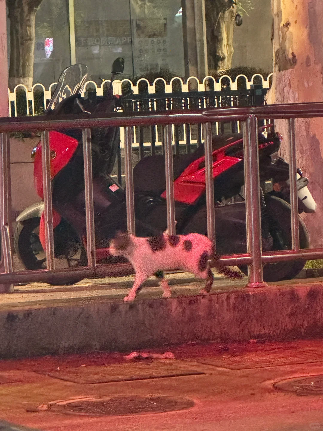 但我想跟你乱缠