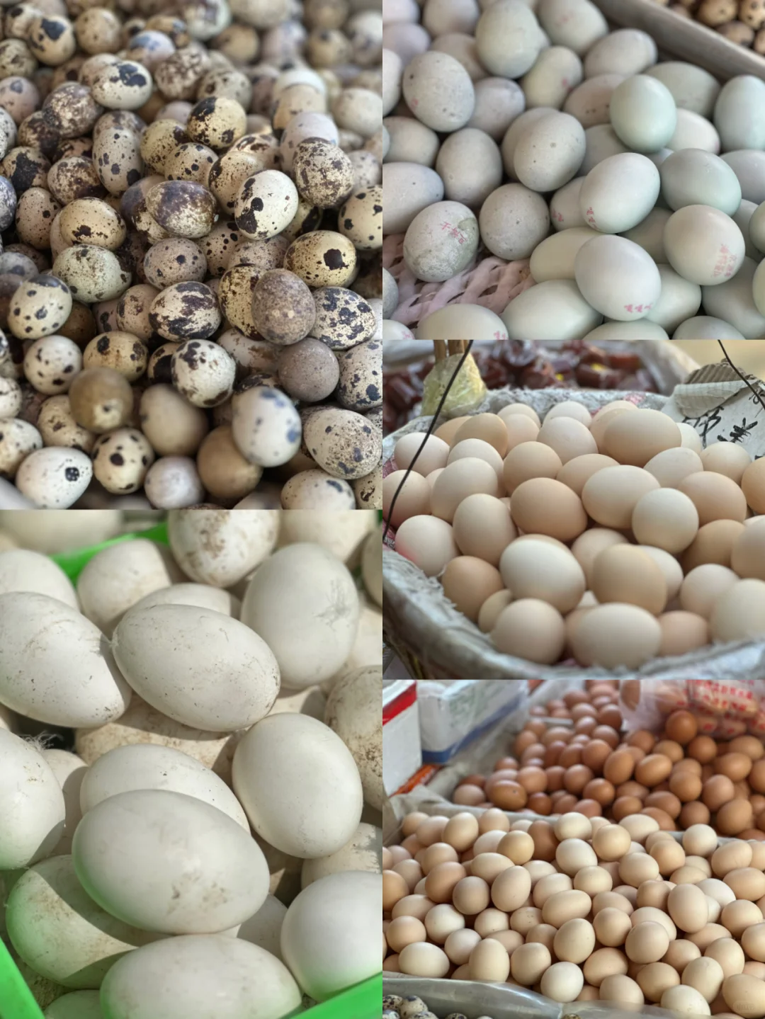 丰台夏季展销会又要和大家见面了@所有人