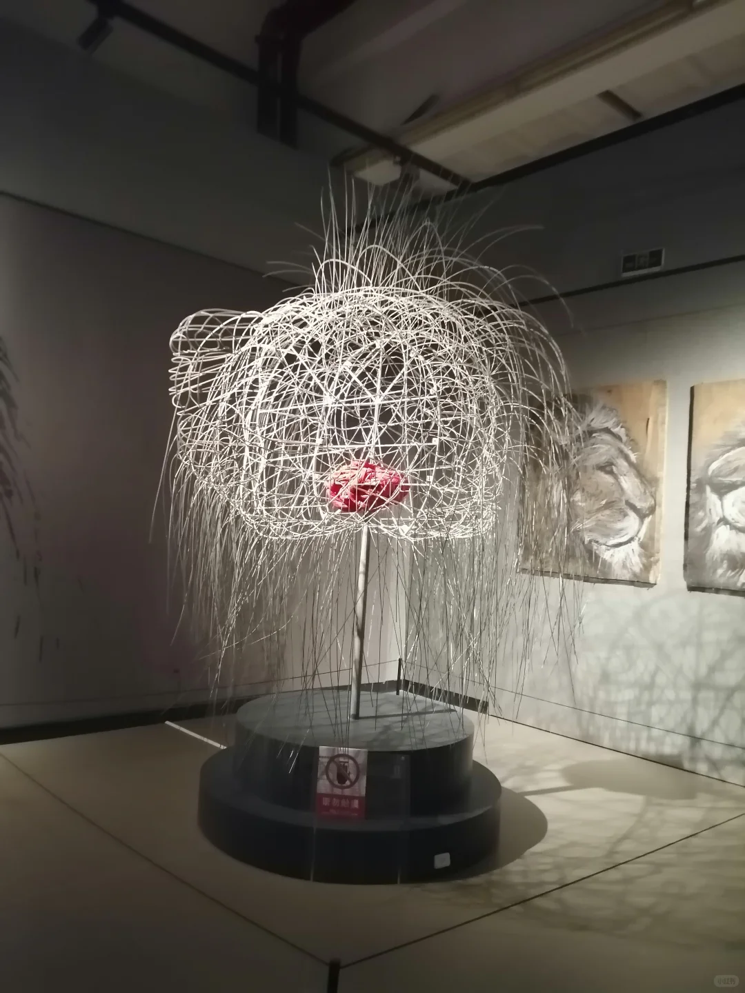 柳州装置艺术展，来啦！工博go