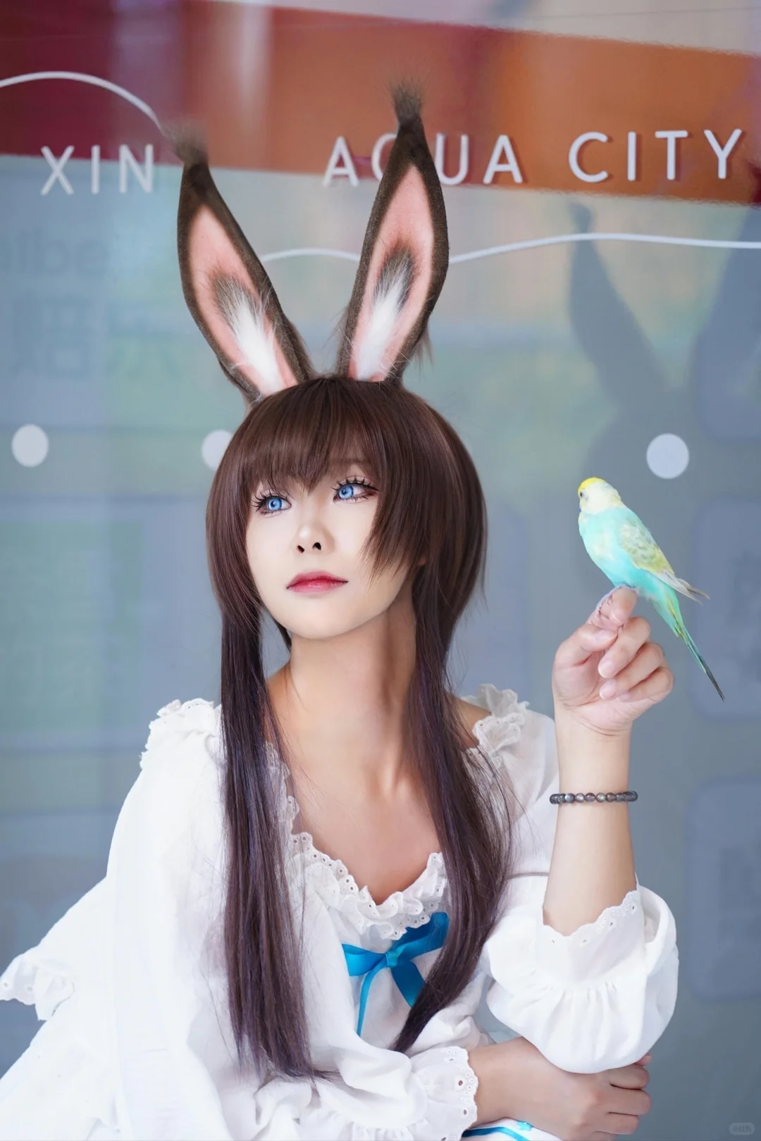 金陵青年文化博览会4th自由行申请