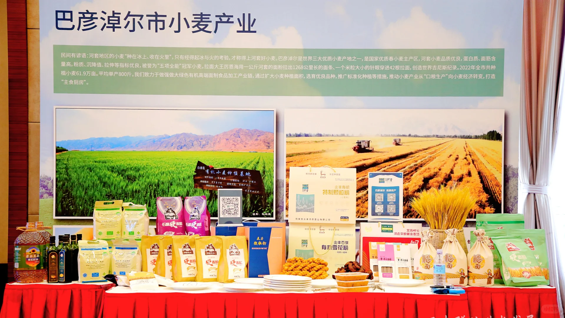 重庆会议活动策划公司｜政府会议｜推介会