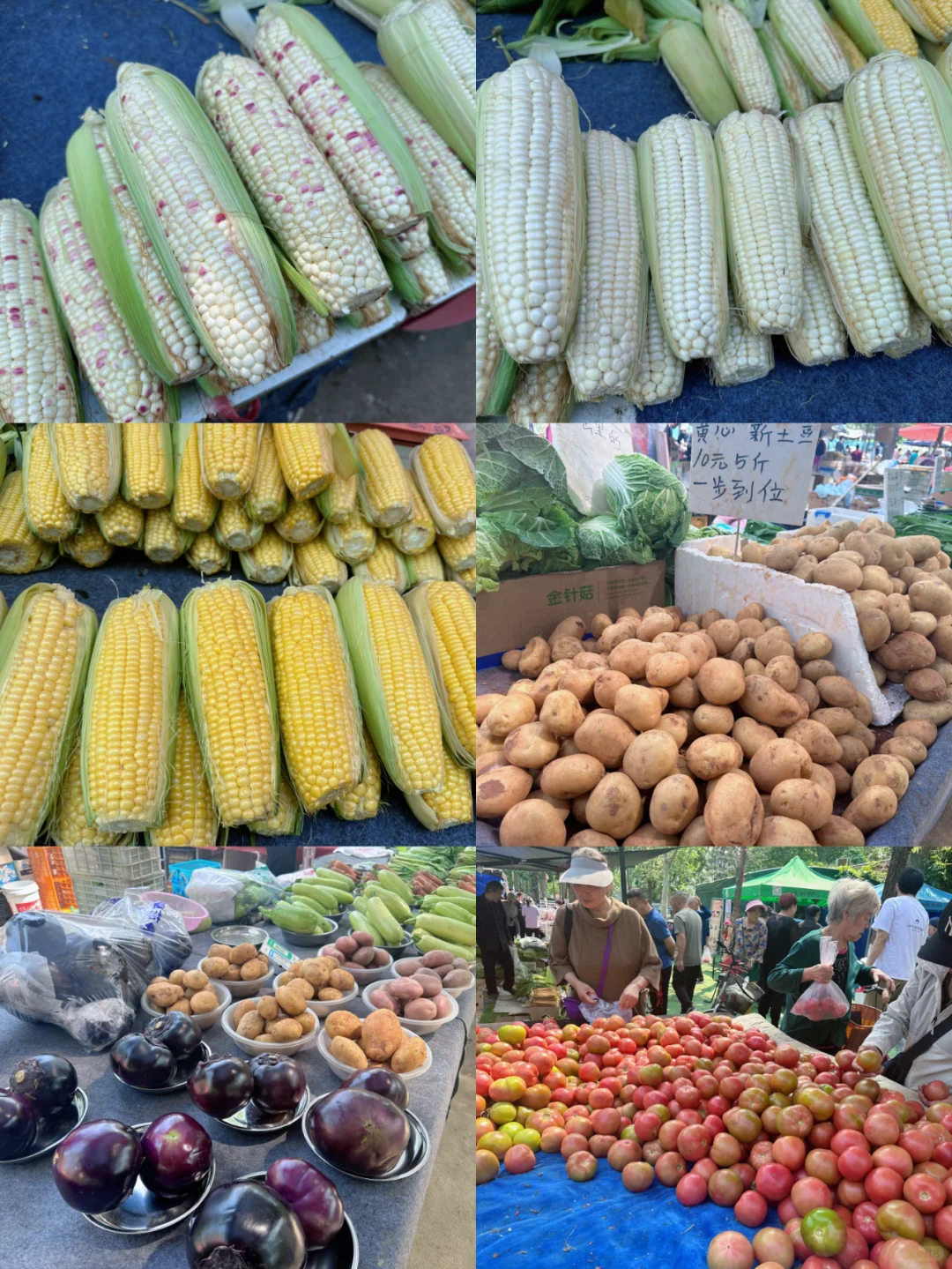 丰台夏季展销会又要和大家见面了@所有人