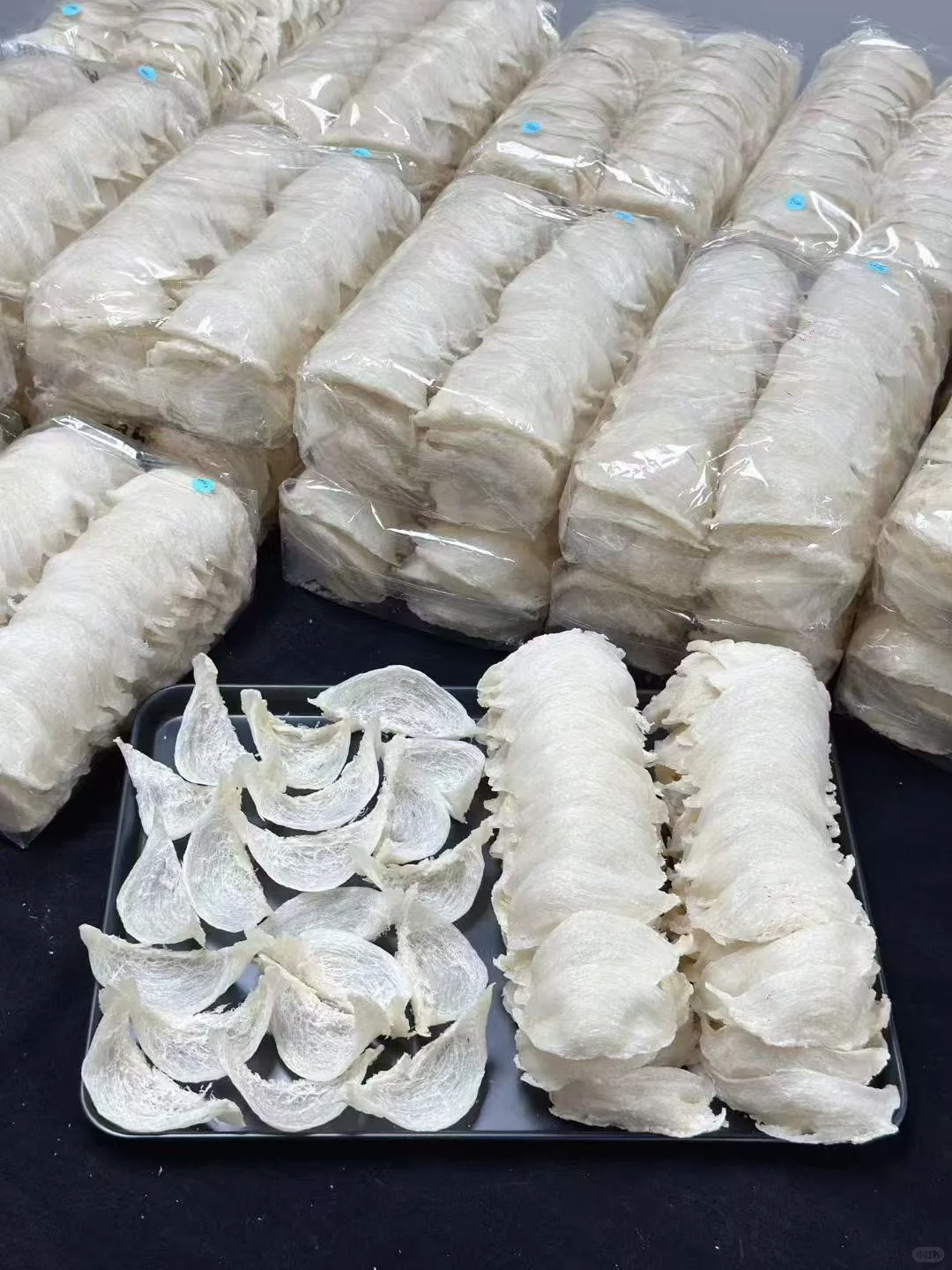 活力汕头新地标！大健康博览会开幕倒计时