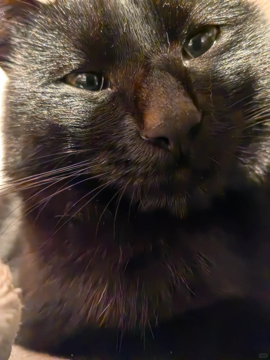 丫头，你还小，叔不碰你（极力忍耐）