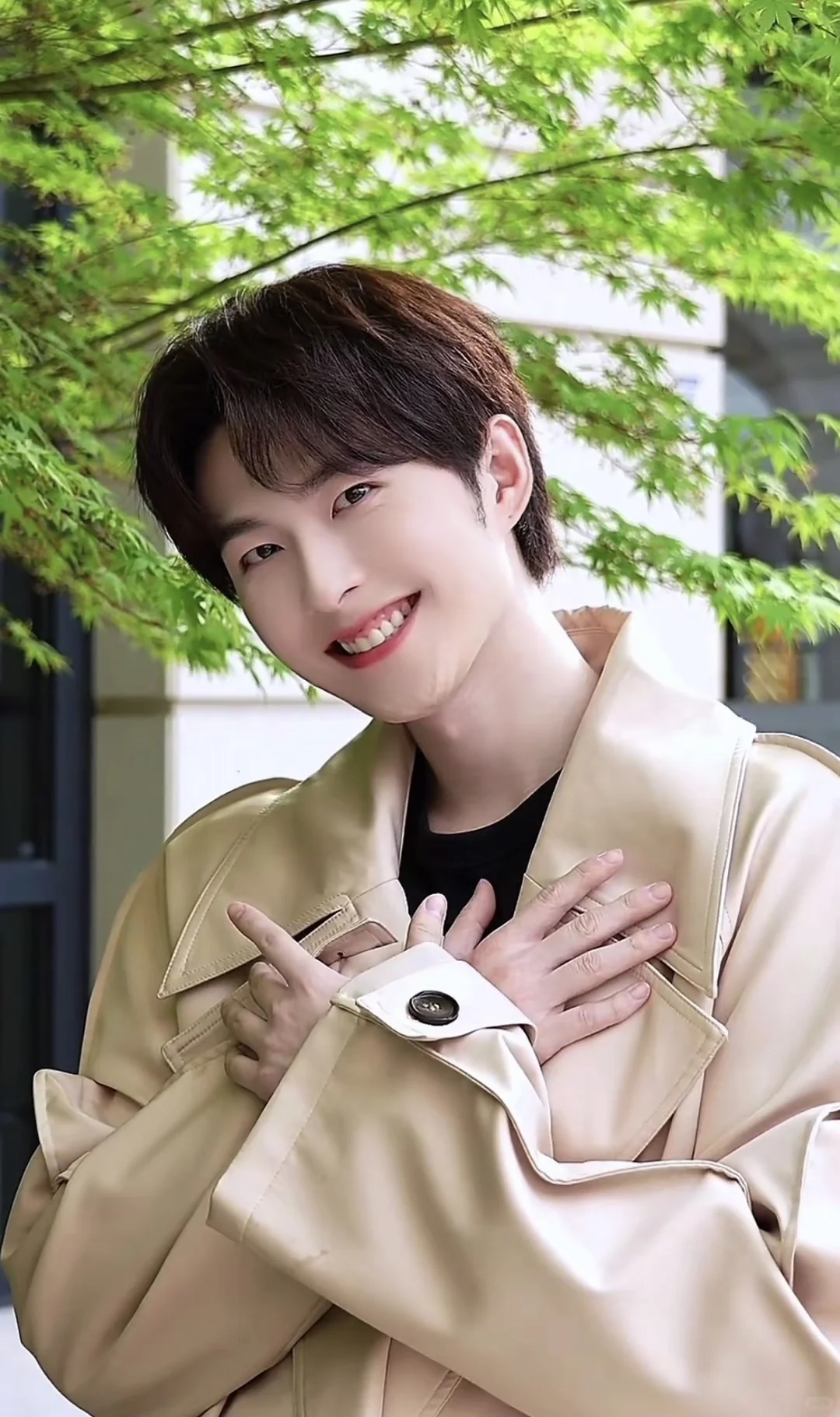 谁懂我的审美啊我对这种长相的男生毫无抵抗