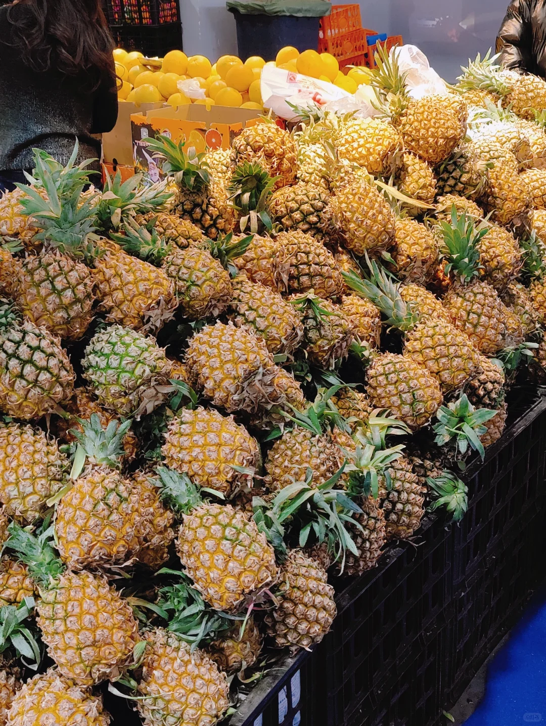 呼市姐妹又来逛展销会啦！