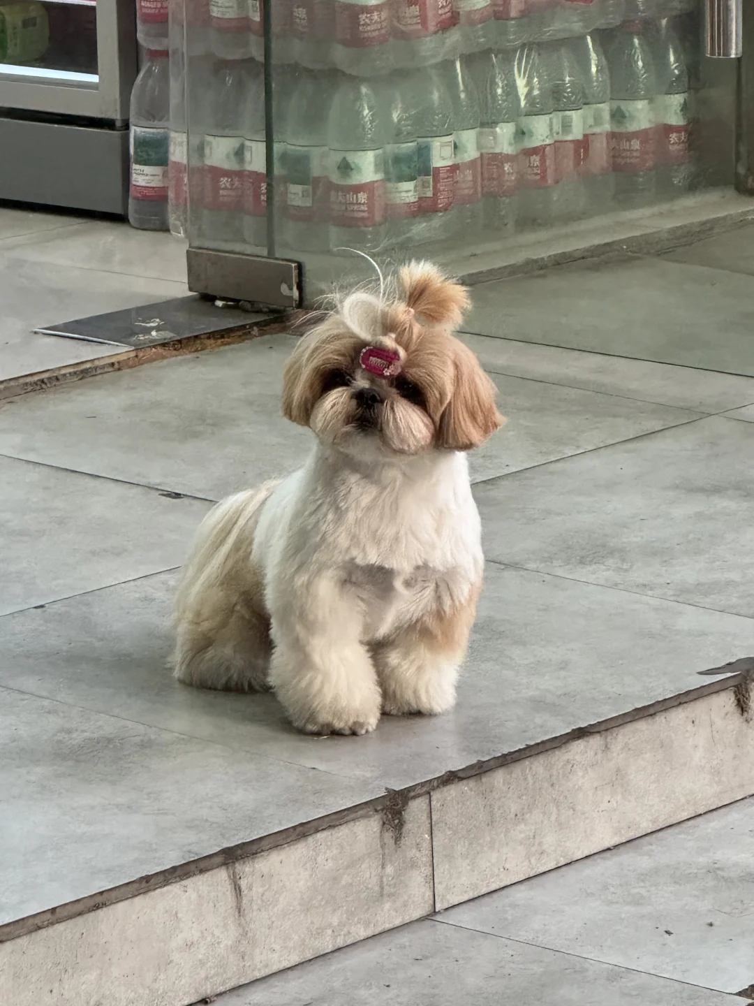 但我想跟你乱缠