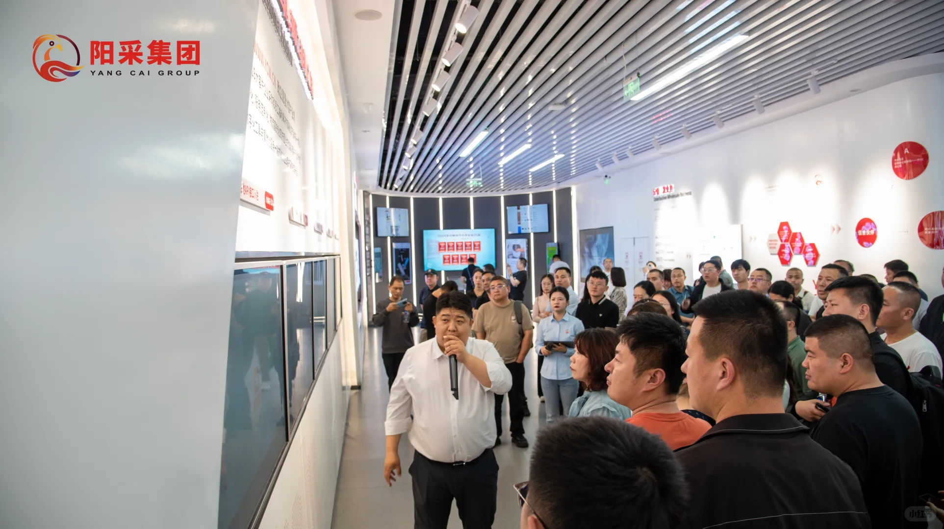 阳采集团招商会（工业品专场）现场直击