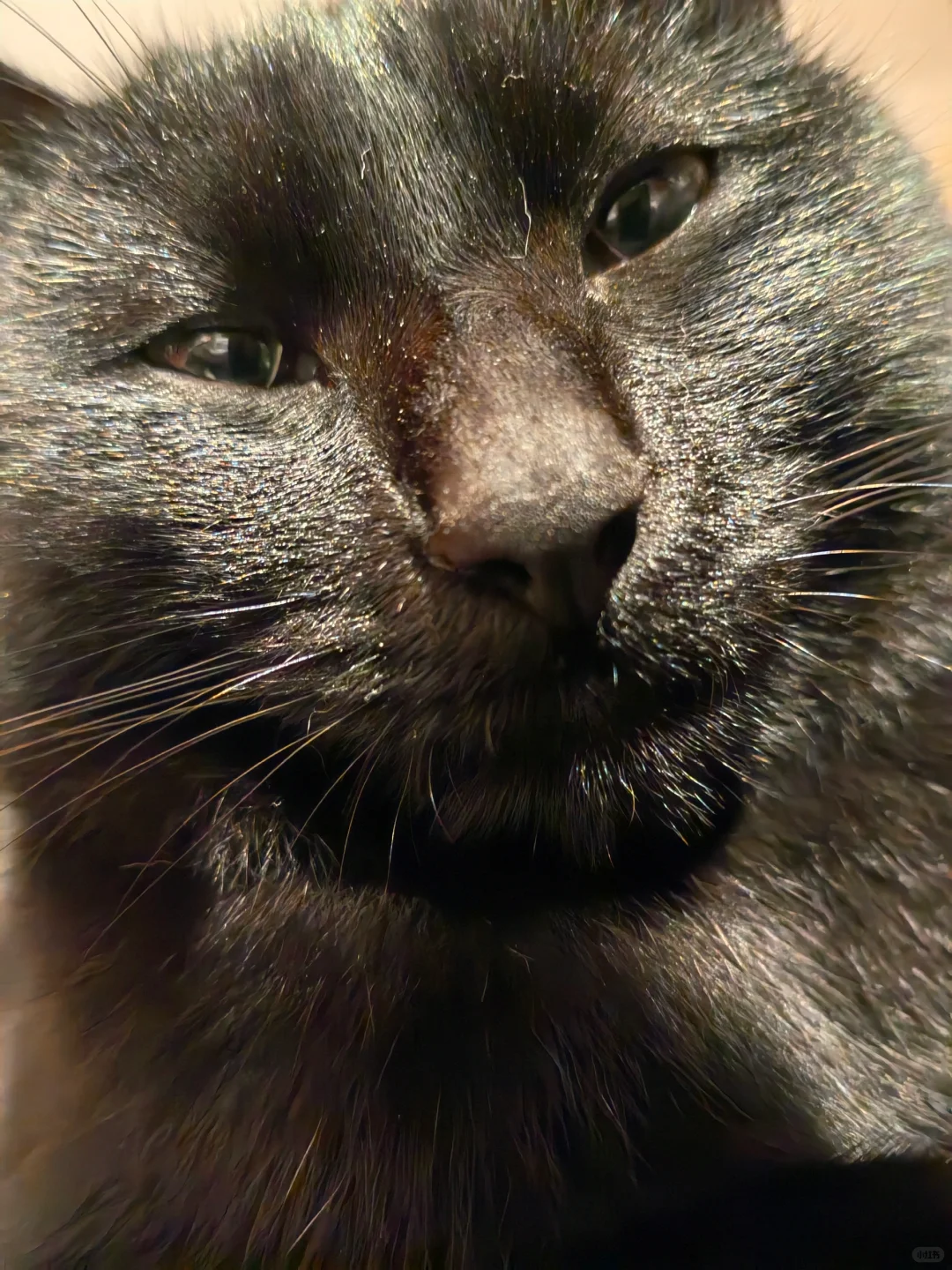 丫头，你还小，叔不碰你（极力忍耐）