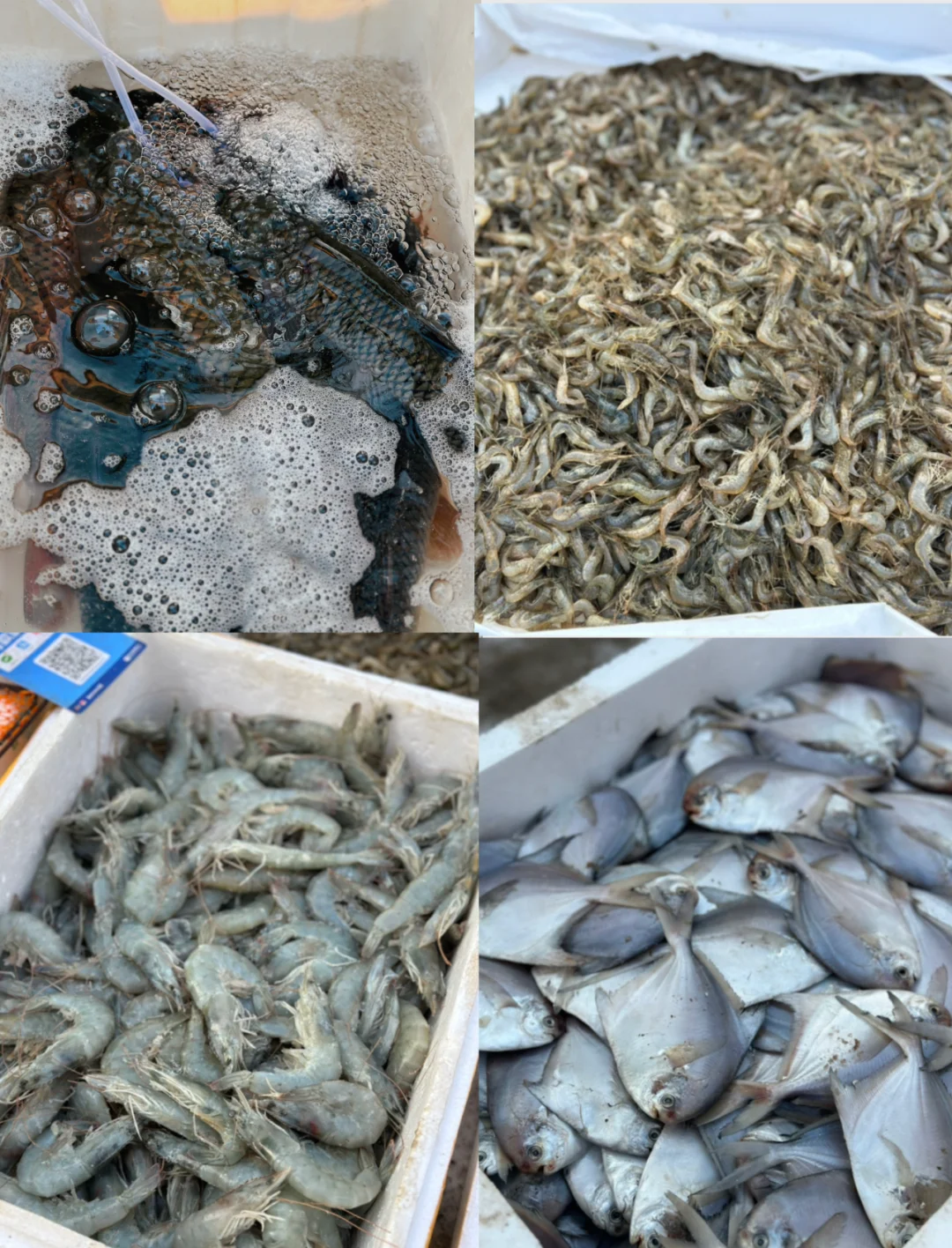 丰台夏季展销会又要和大家见面了@所有人