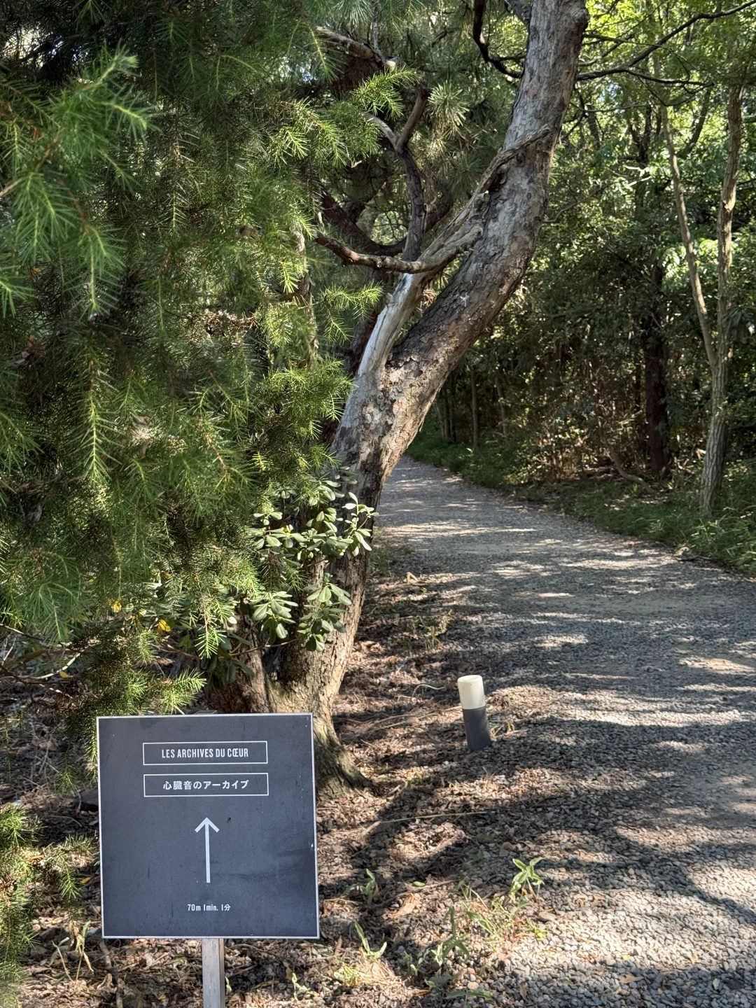 濑户内艺术祭 我到底在酸什么？