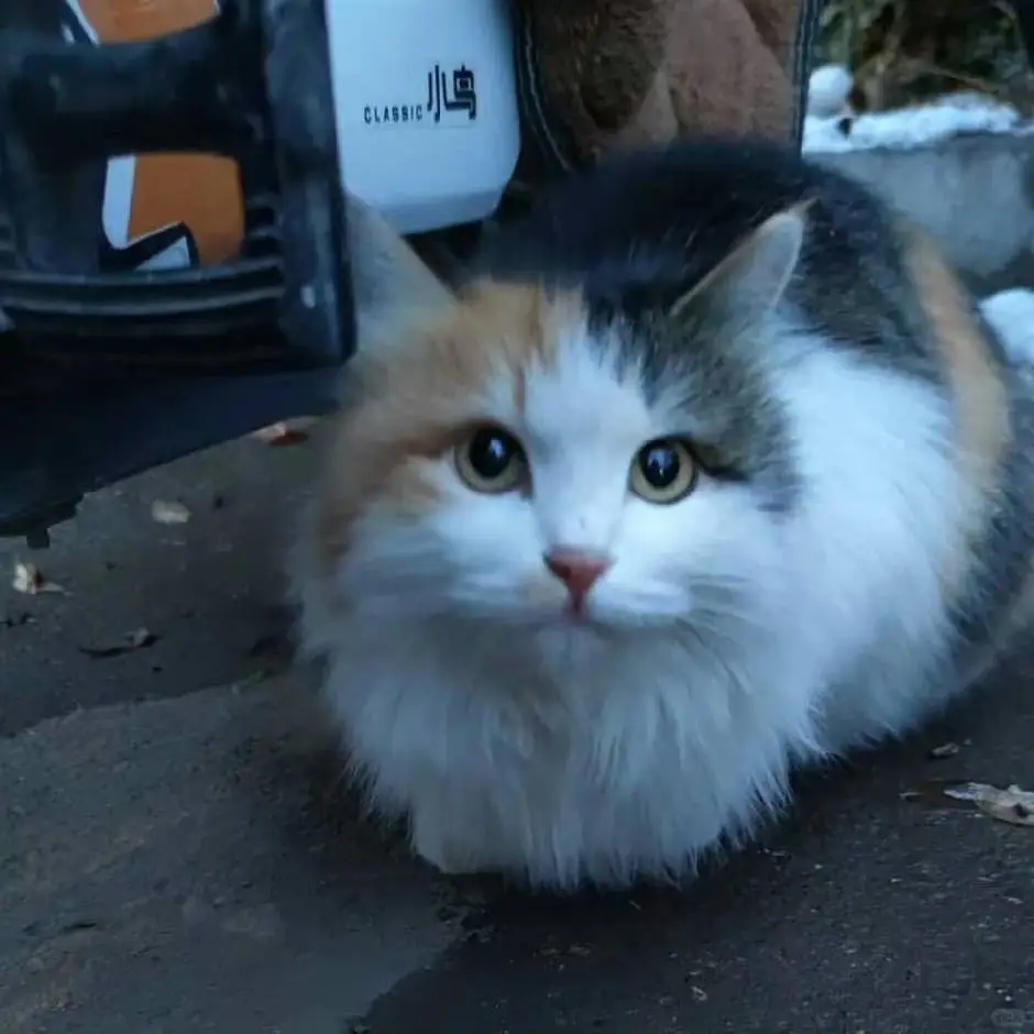 对视吧 暗夜的尽头是星光