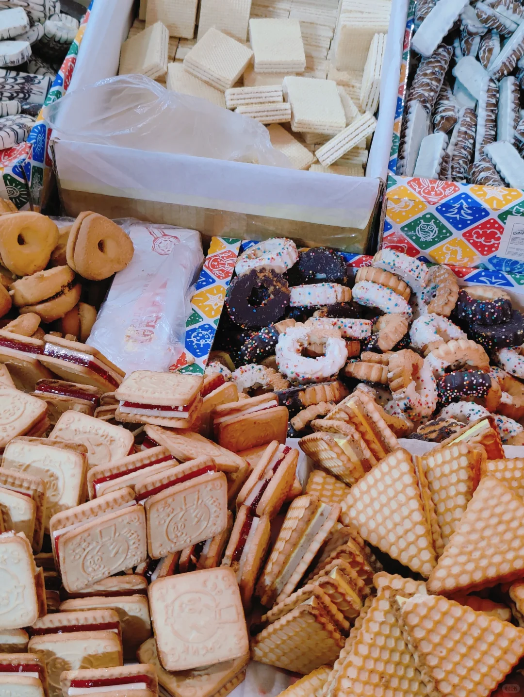 呼市姐妹又来逛展销会啦！