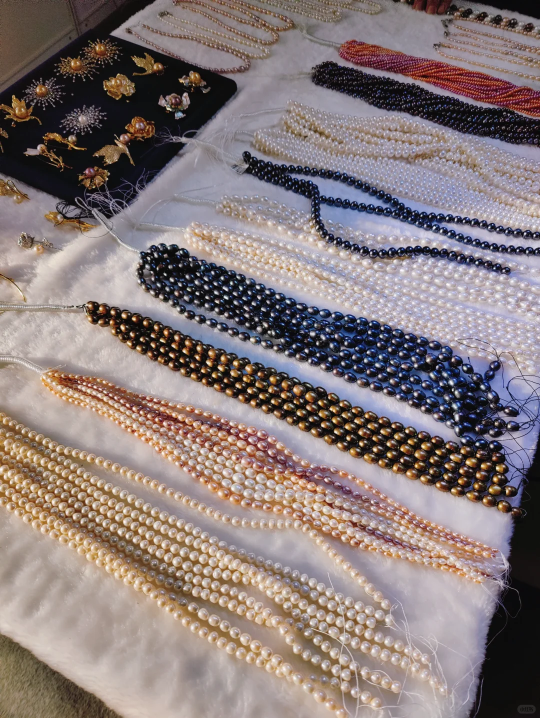 呼市姐妹又来逛展销会啦！