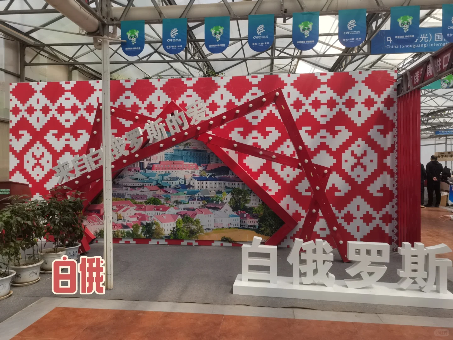 博览会还是太权威了