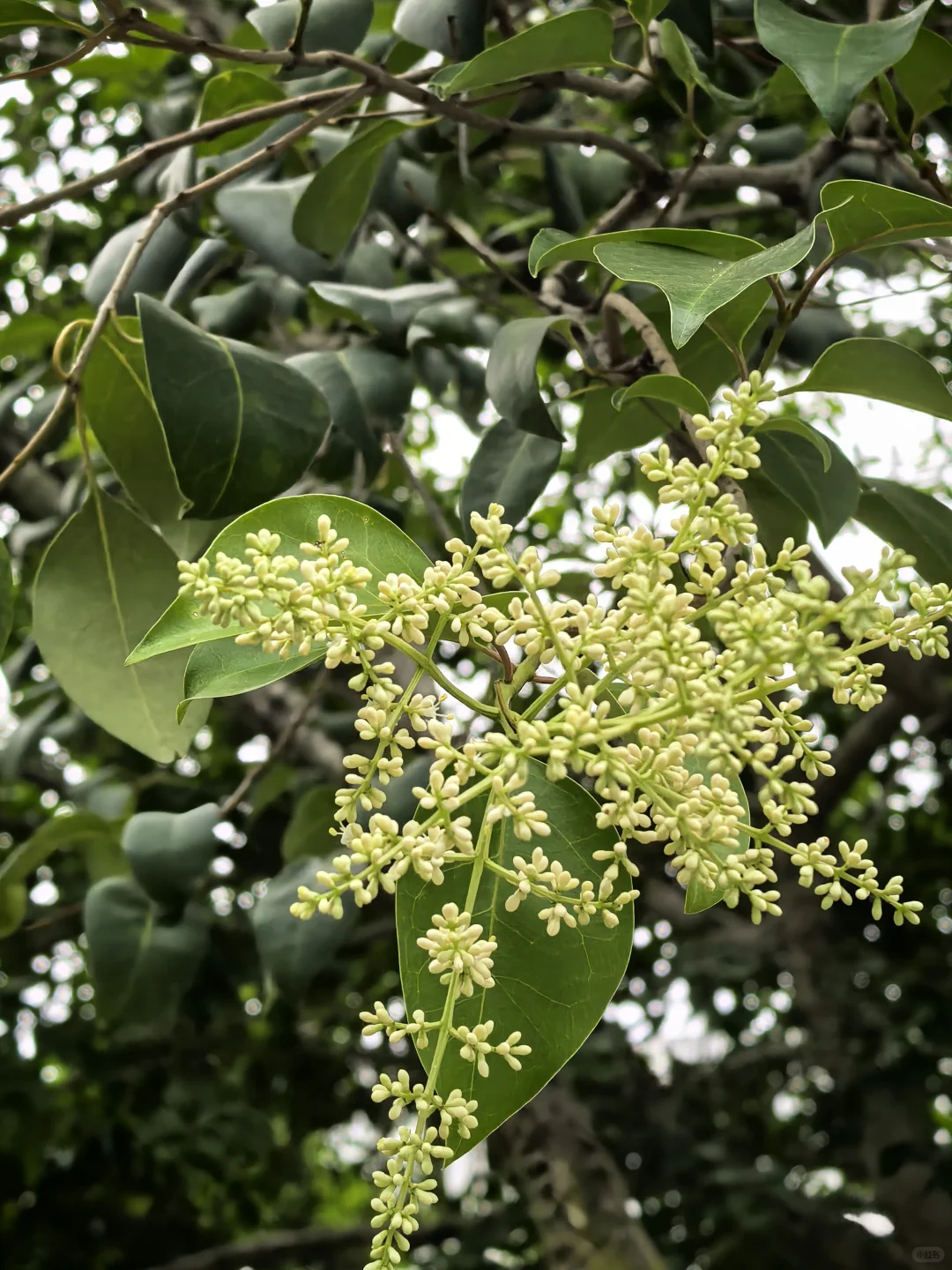 40+还有人喜欢吗？