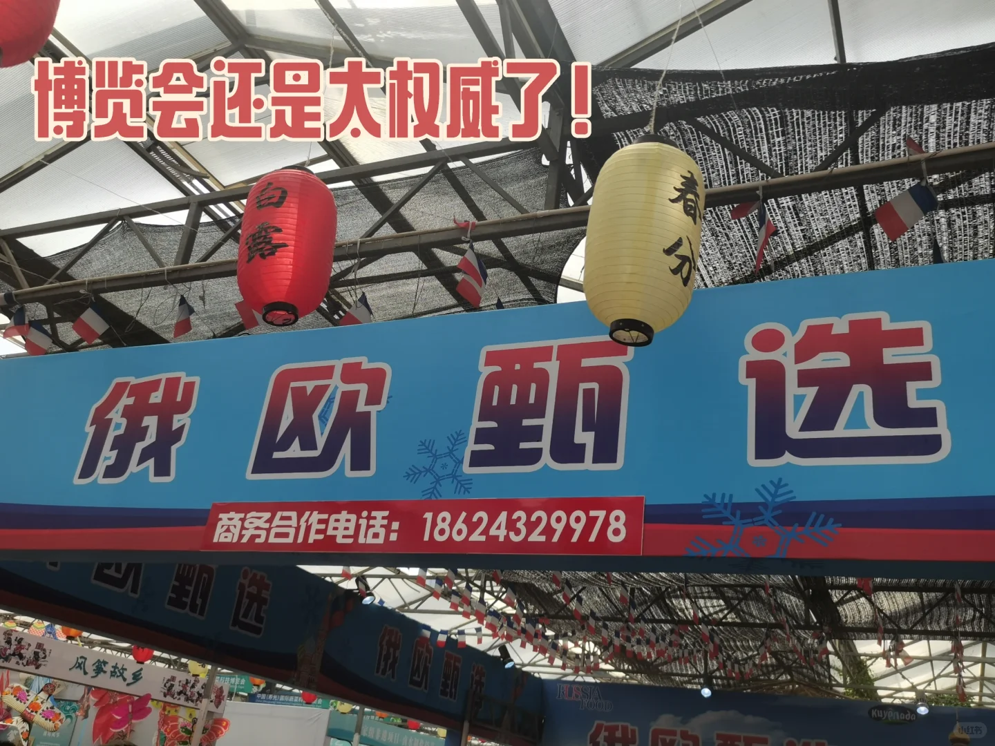 博览会还是太权威了