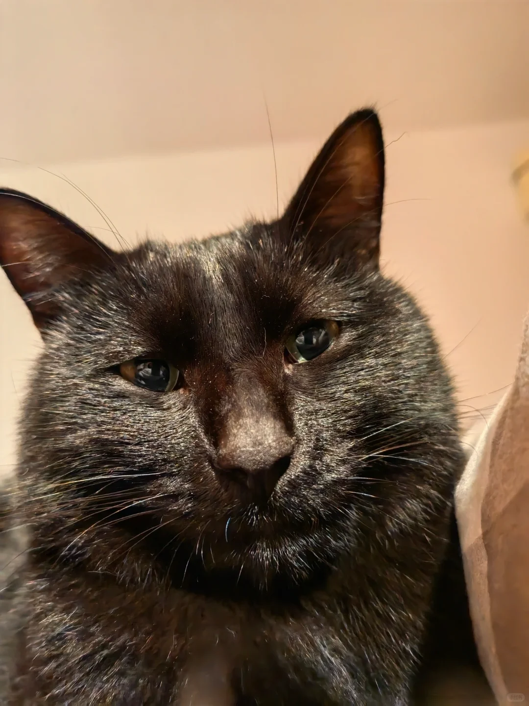 丫头，你还小，叔不碰你（极力忍耐）