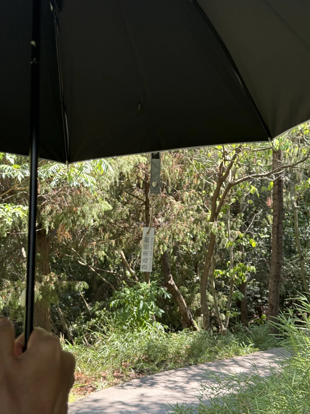 濑户内艺术祭 我到底在酸什么？