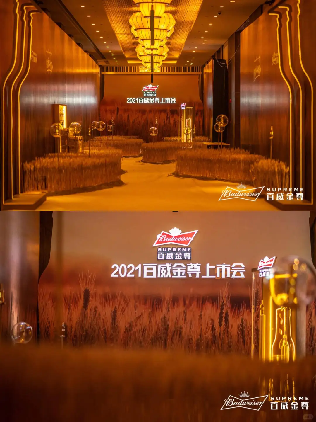 重庆IFS万物生‖展会展位搭建