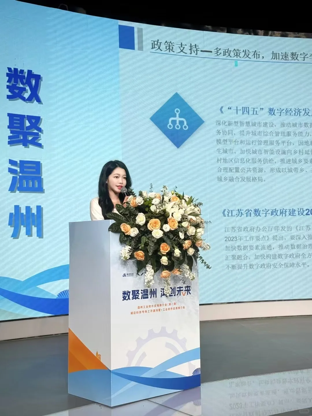 ?工业软件推介会gov百人会议✖️主持人邱特