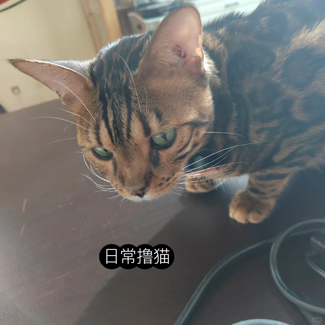 会务会展活动公司在线等甲方爸爸合作