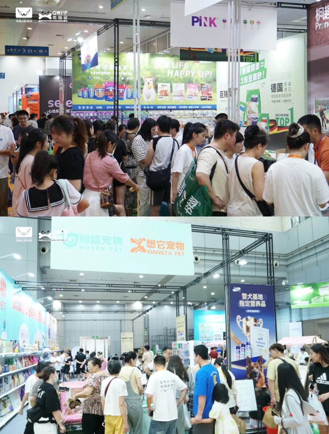 华南首展‼️南宁宠物展门票20啦?超多羊毛