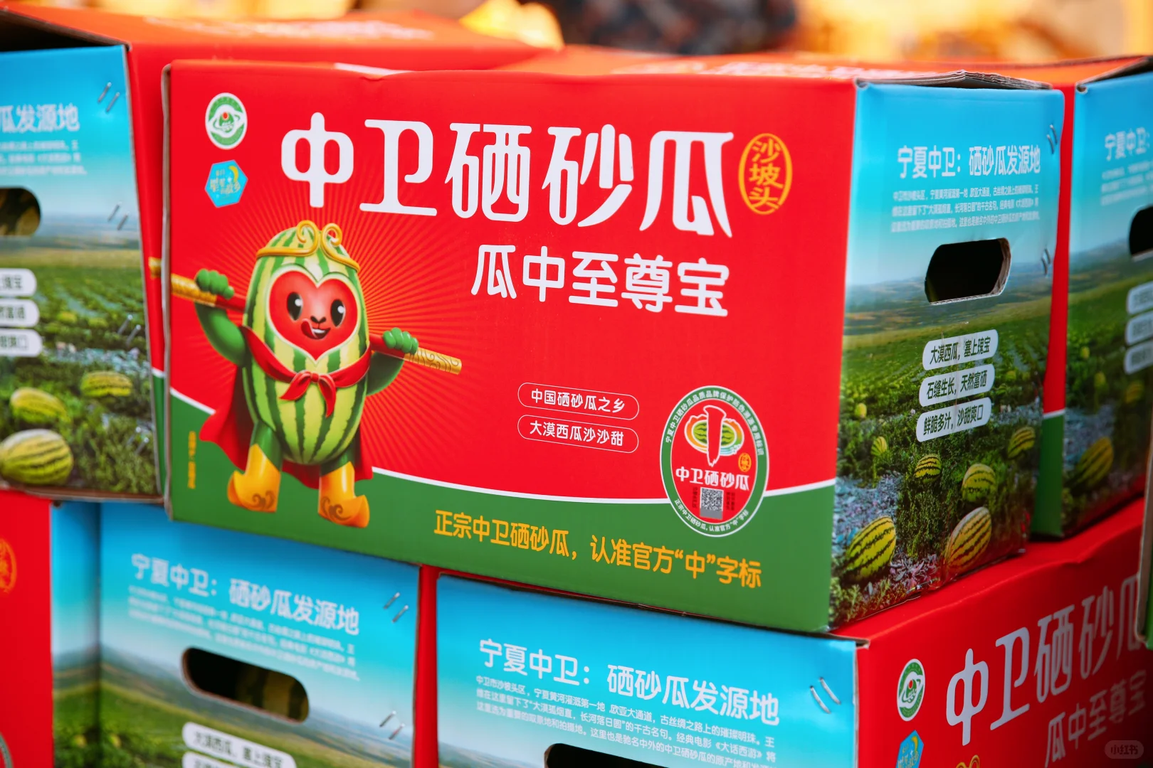 宁夏中卫硒砂瓜家家悦推介会盛大举行‌