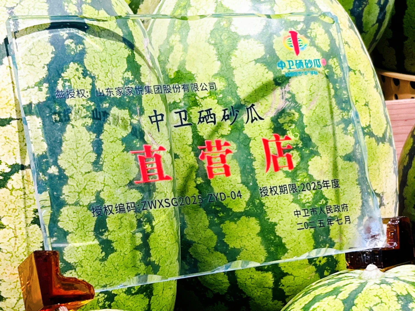 宁夏中卫硒砂瓜家家悦推介会盛大举行‌