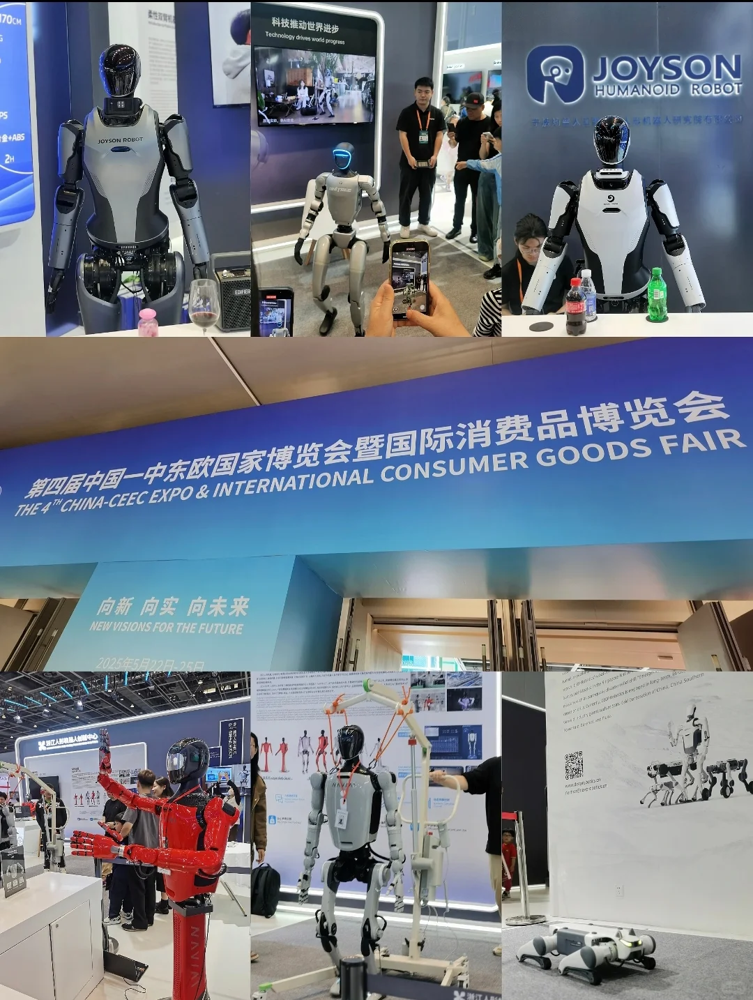 活动案例分享|中东欧国家博览会