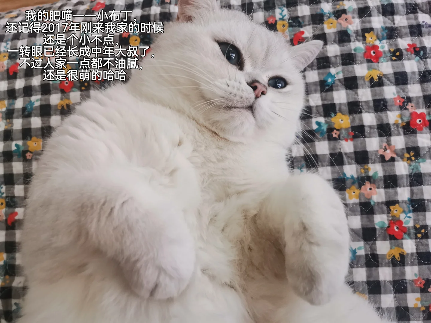 Plog｜用旧物拍plog，省麻了！?