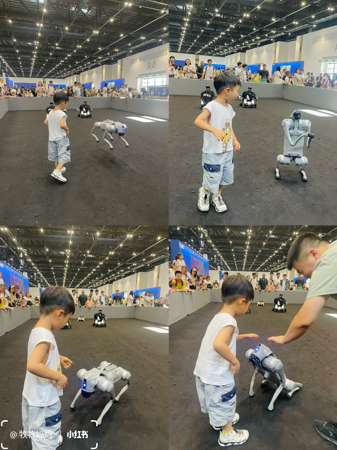 北京遛娃新去处 | 2025国际航天航空科技展