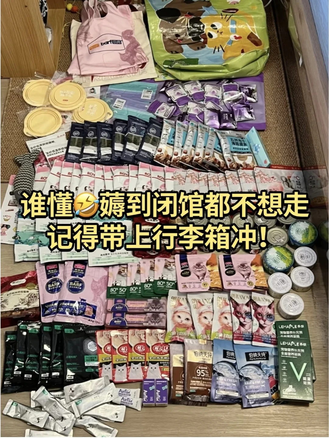 2025深圳宠物展最强攻略!铲屎官们快收藏