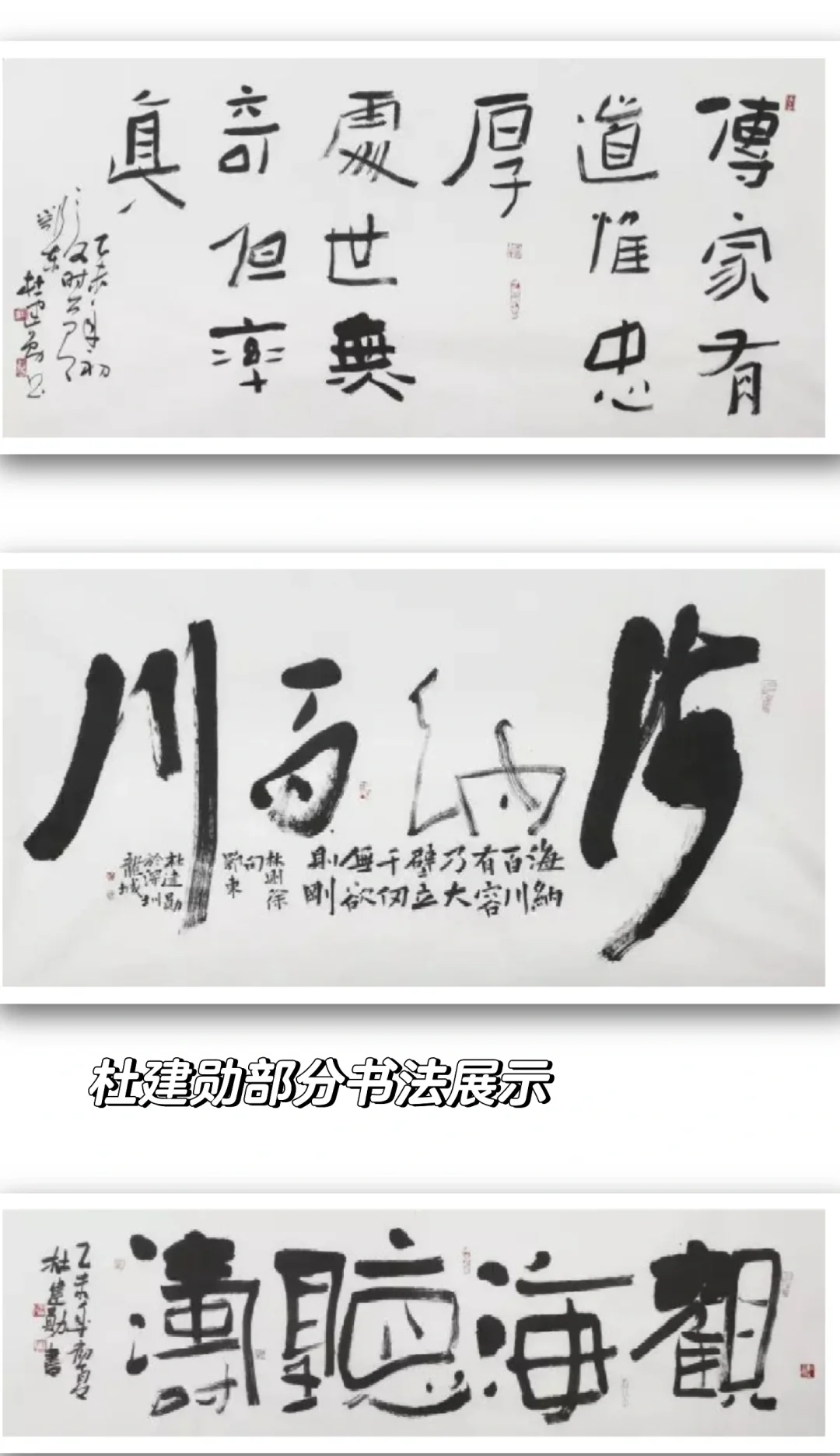 码住码住！深圳8月展览船新出炉～