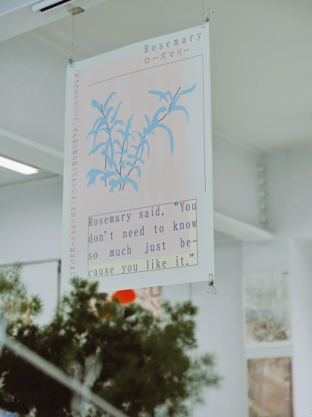 合肥新展|没什么宣传但很有趣的小众设计展