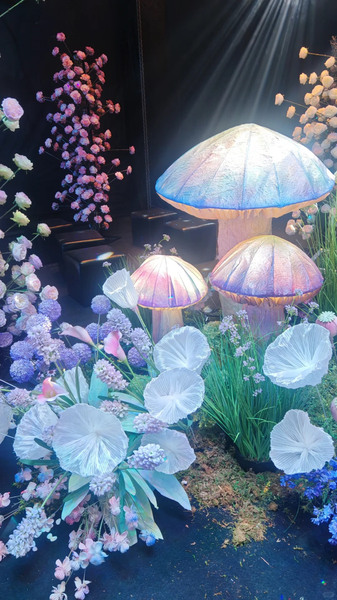 ²⁰²⁵ྀ怎么也飞不出花花的世界✿҉͜ ͜