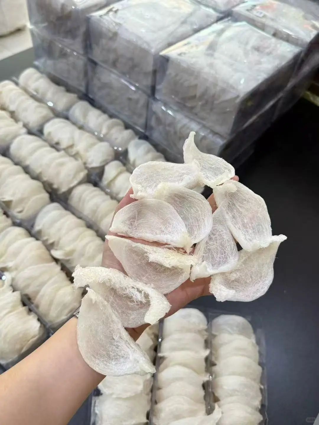 健康生活从逛展开始~汕头大健康博览会8.8