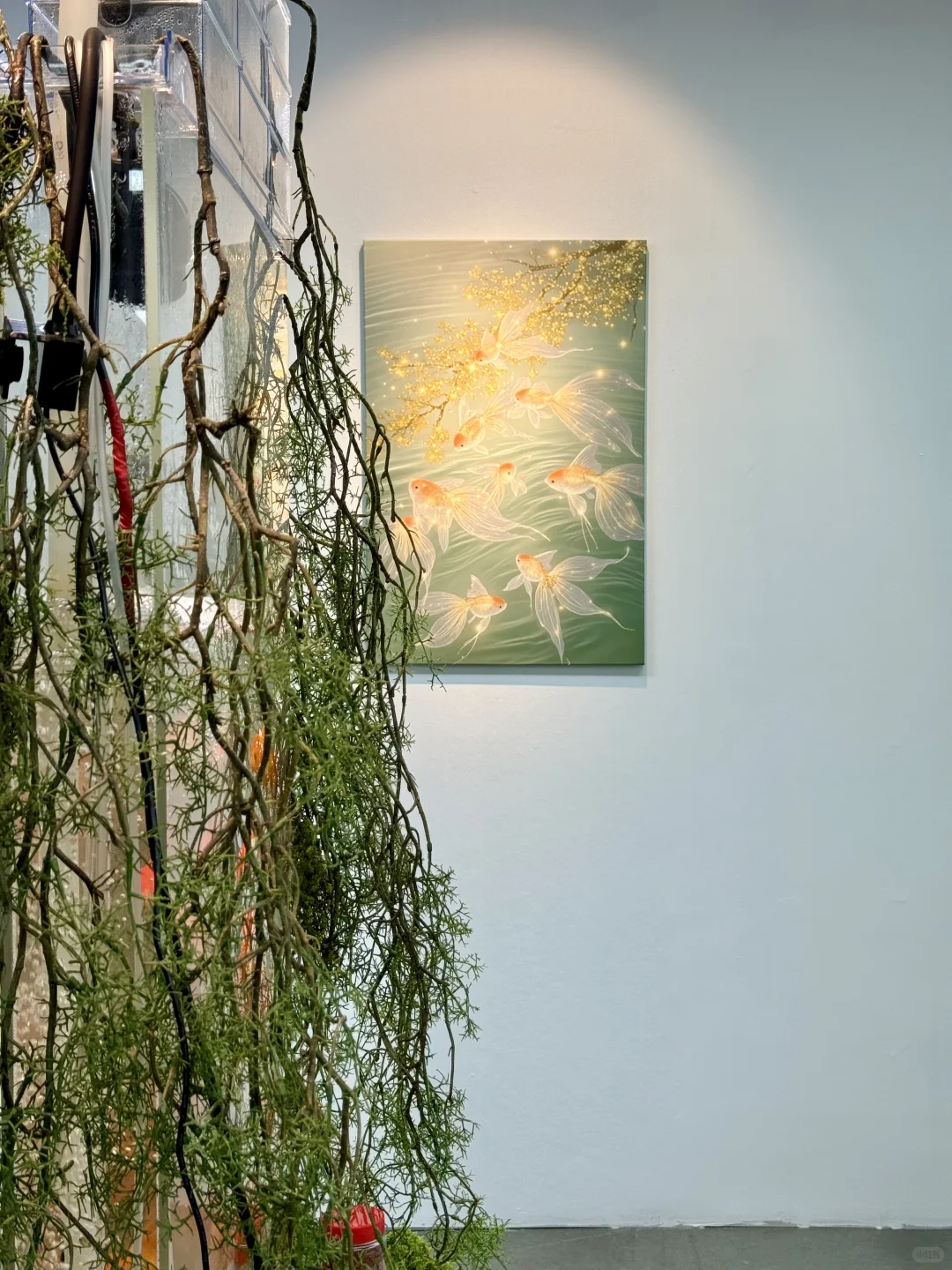 广州新展 | 去鱼里的世界???好梦幻！！！！！