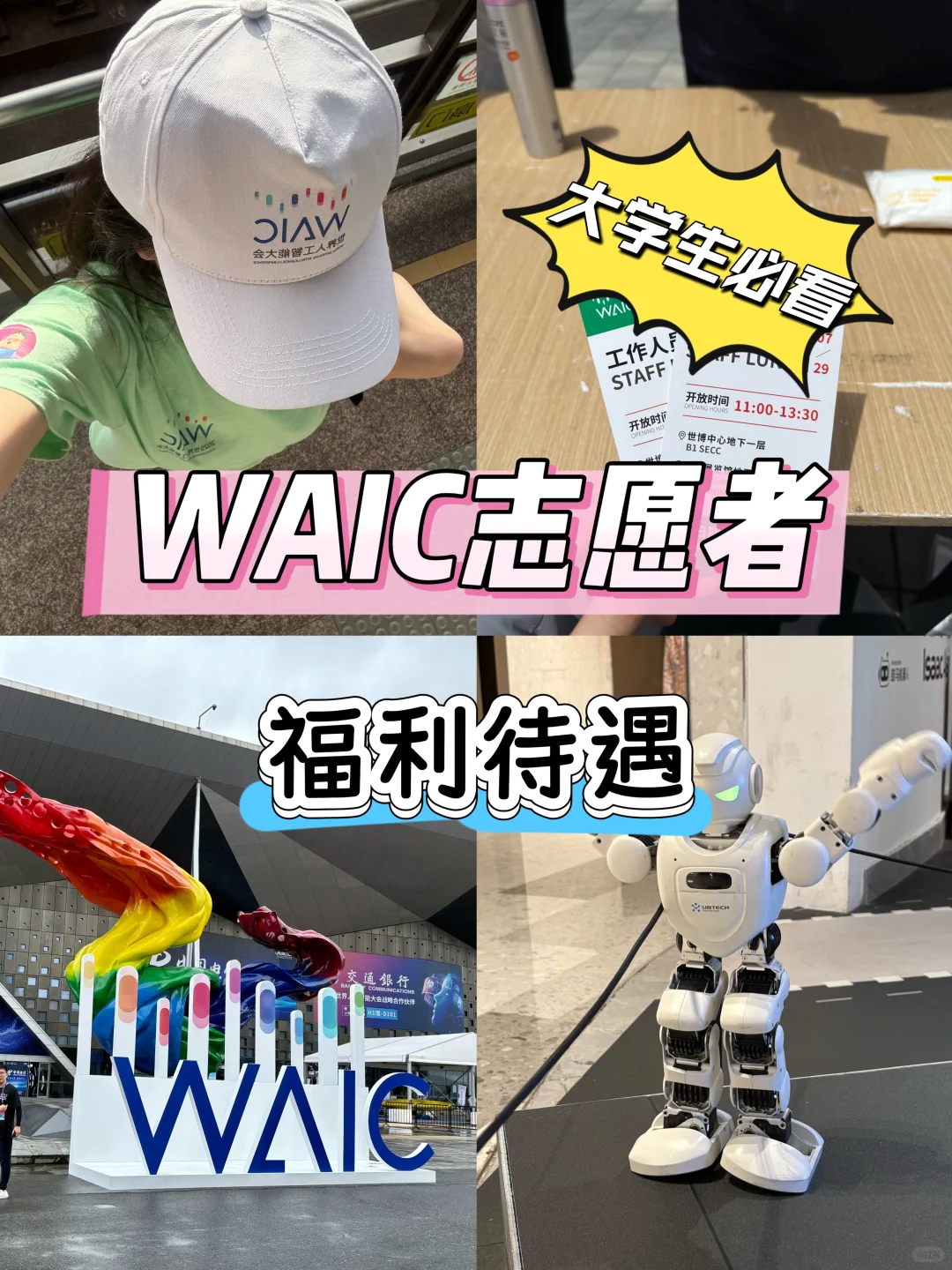 高含金量?|一文说清日薪300+的WAIC志愿者