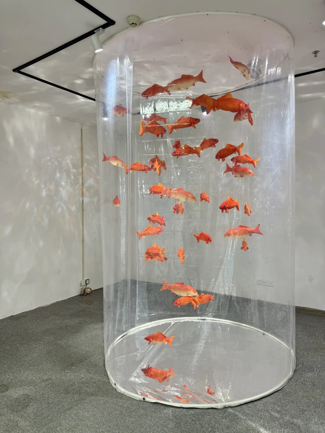 广州新展 | 去鱼里的世界???好梦幻！！！！！
