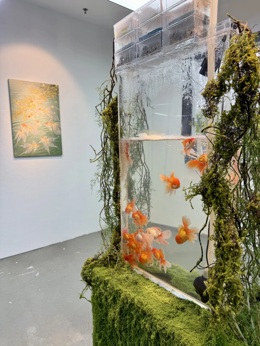 广州新展 | 去鱼里的世界???好梦幻！！！！！