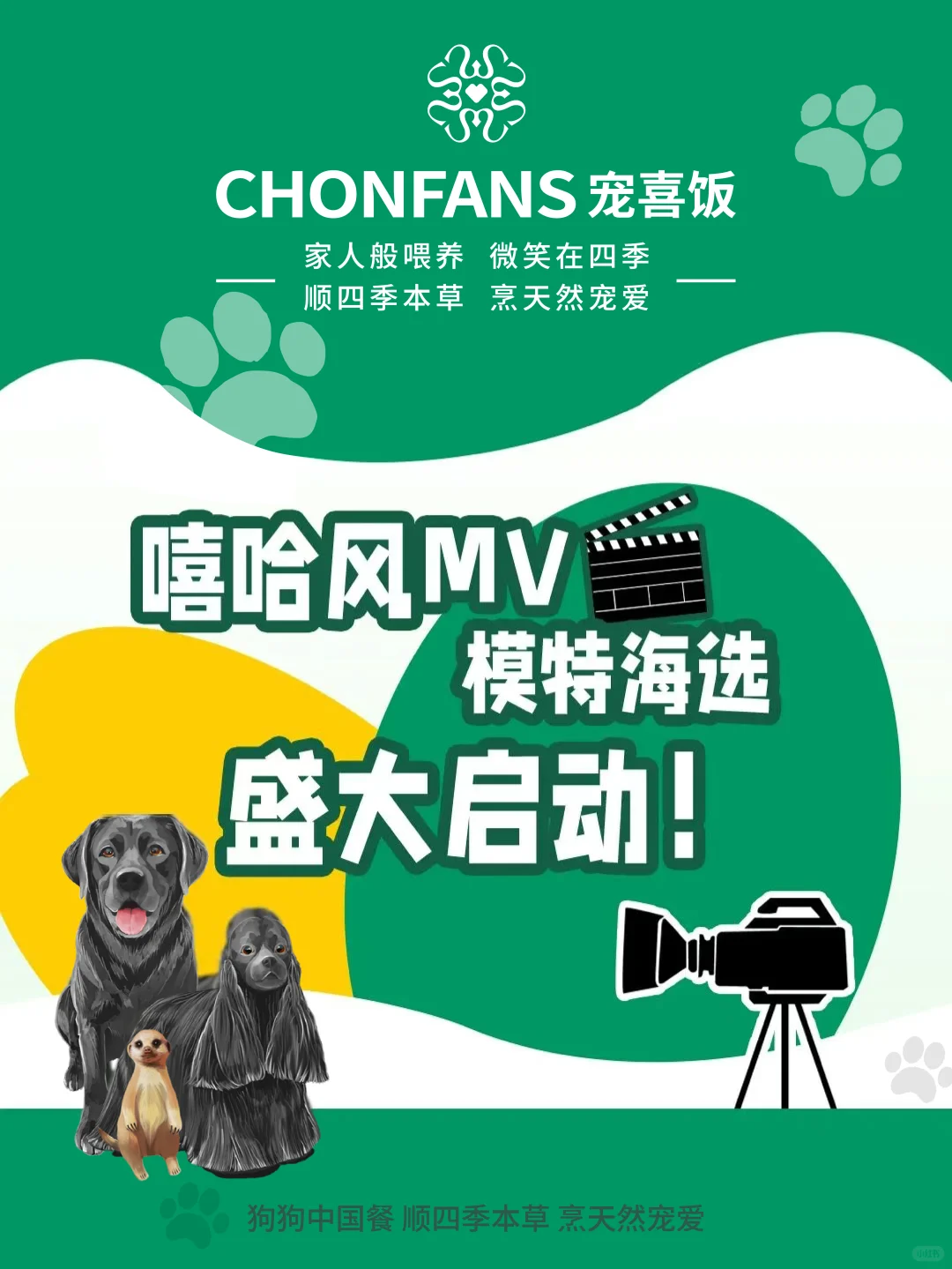 ? 它们曾守护世界,现在该被世界看见